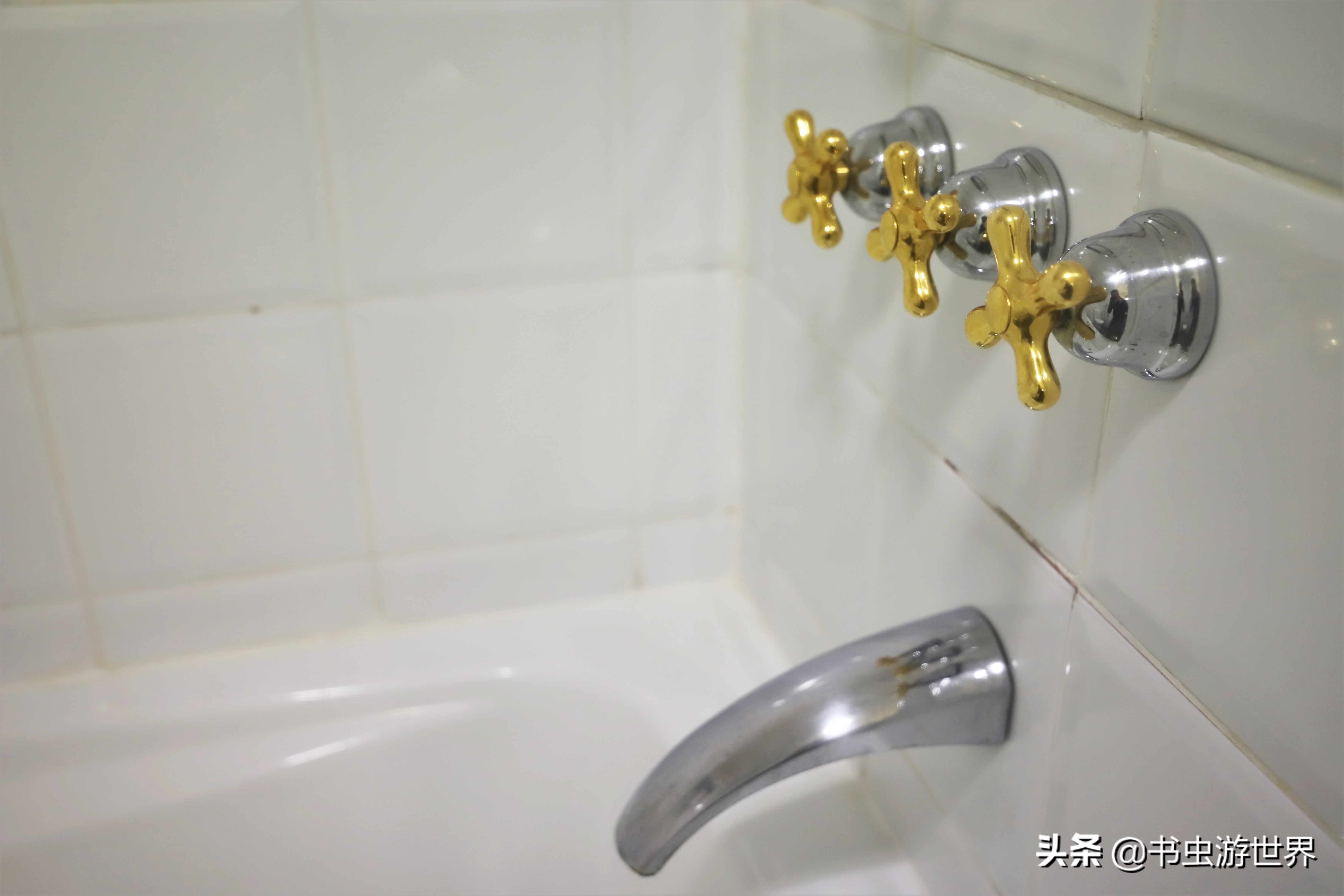 同样是布偶猫差别咋就这么大,布鲁和布鲁