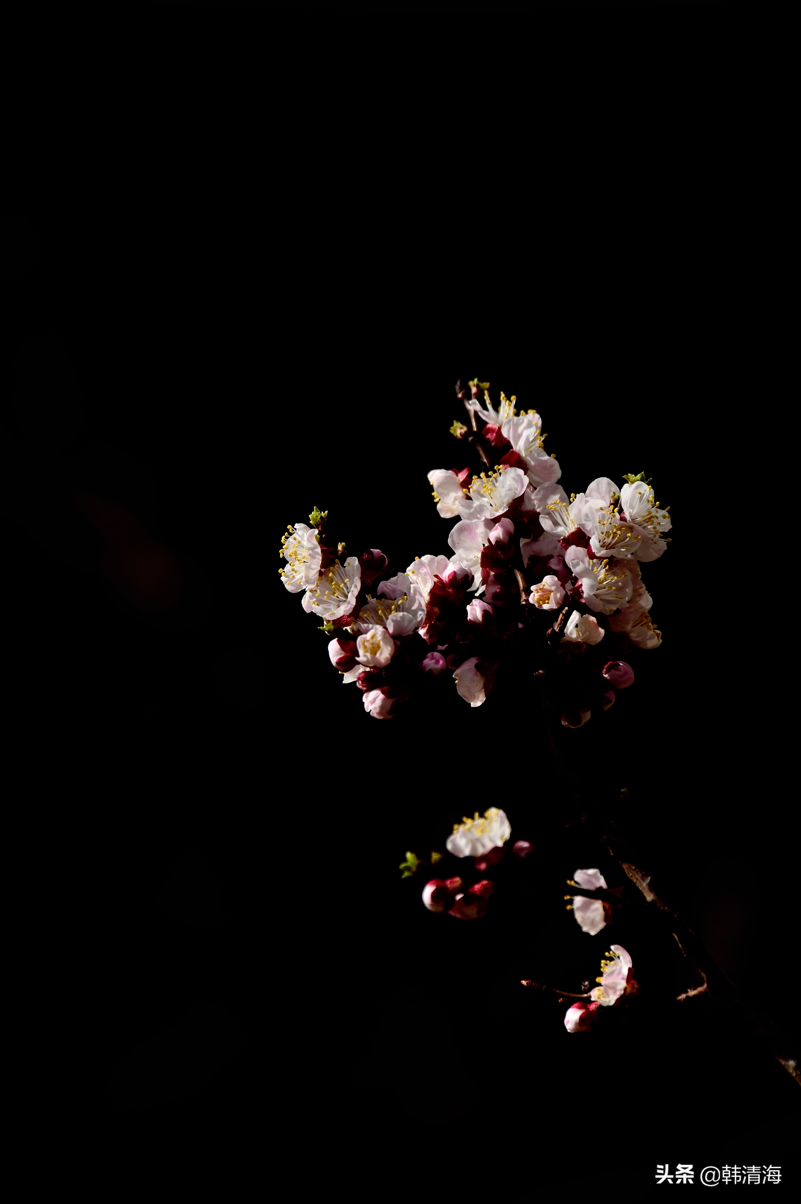 天津市南开区水畔花园简介,天津南开水畔花园洋房