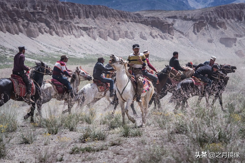 铁血雄鹰全剧,铁血雄鹰全文阅读
