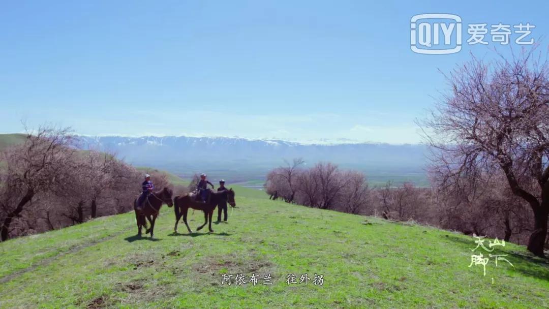 我国旅游日,中国旅游日5.19意义