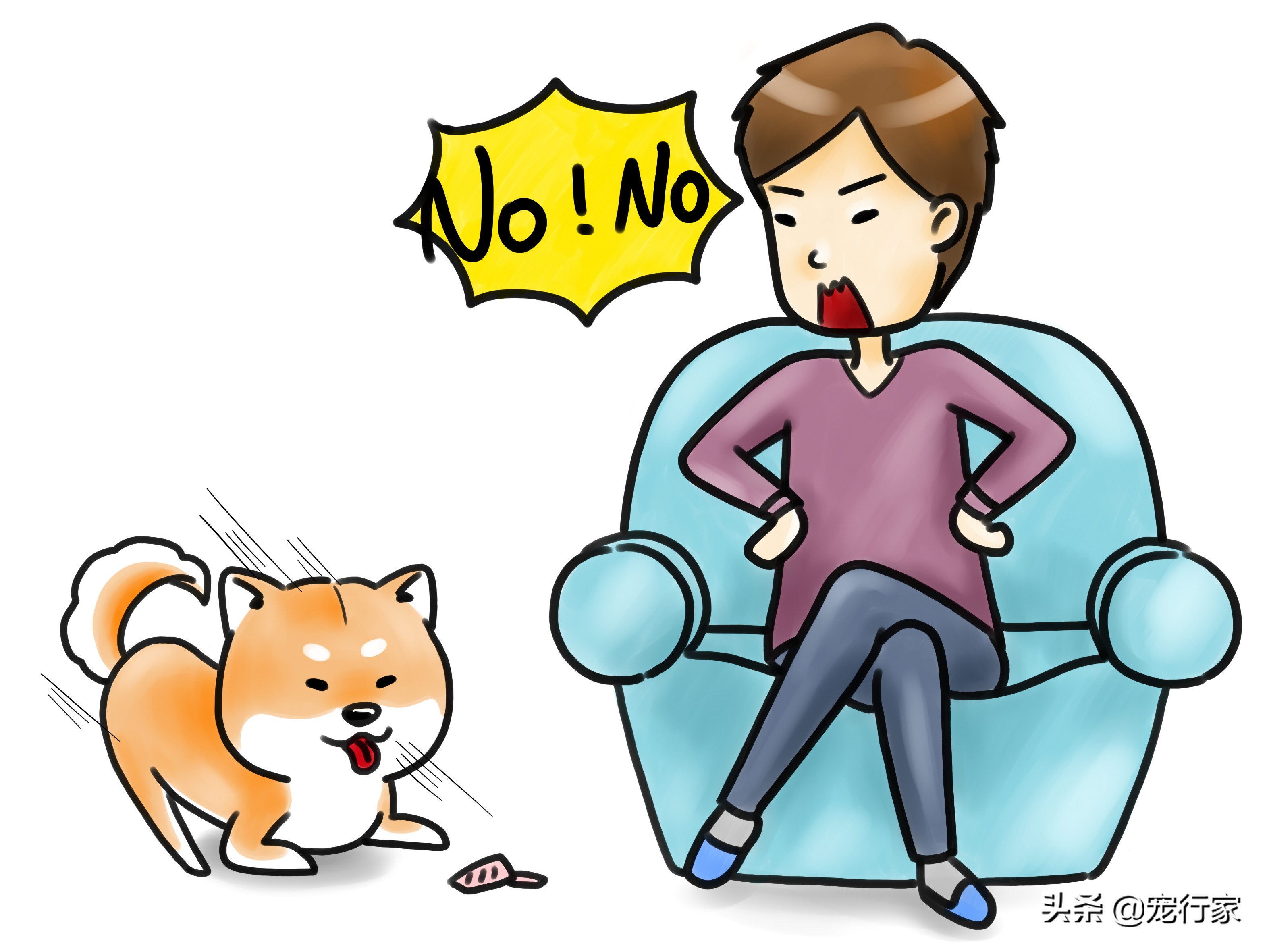 怎么对狗社会性训练,狗到底要怎么训练