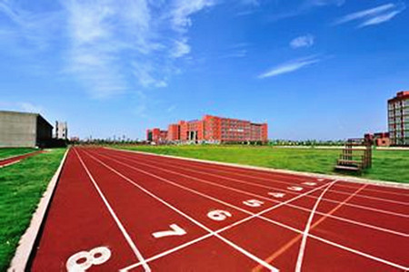 2019华东师范体育单招拟录取,河北师范大学体育单招2019