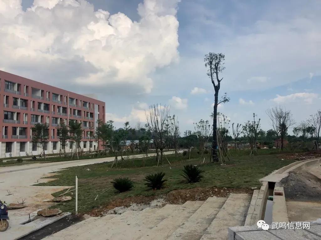 广西南宁幼儿师范高等专科学校武鸣区,广西幼儿师范高等专科学校东盟校区