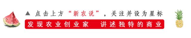 马云点赞农村创业方式,农村电子商务模式有哪些
