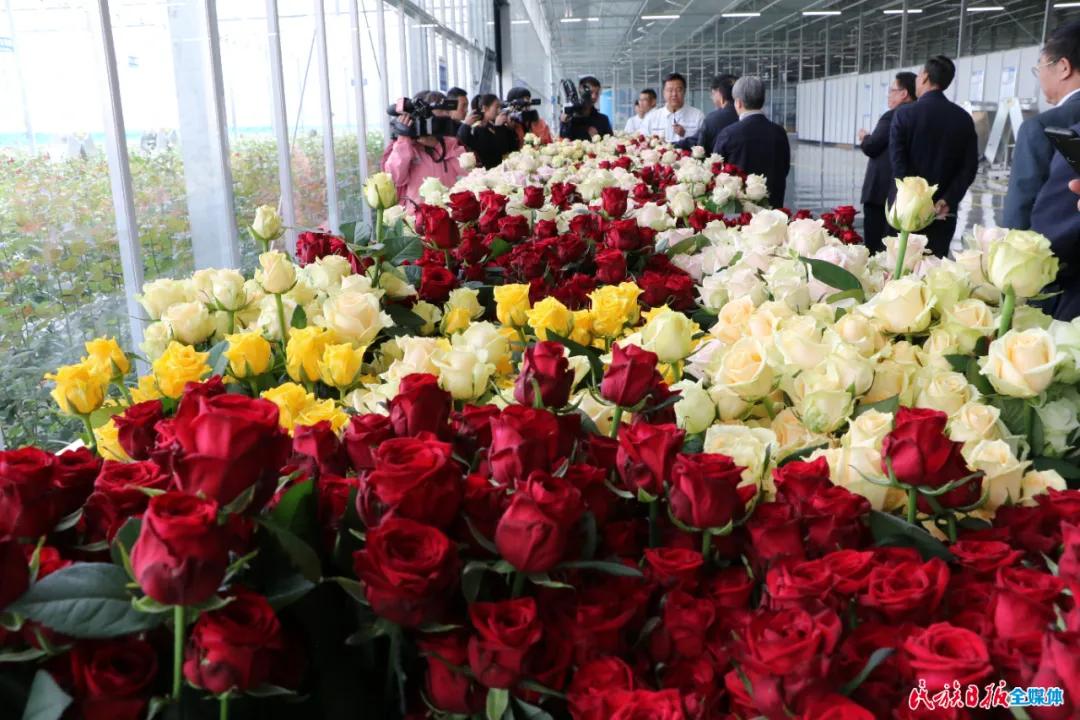 临夏州重点项目谋划情况,临夏州重点工作现场观摩推进会