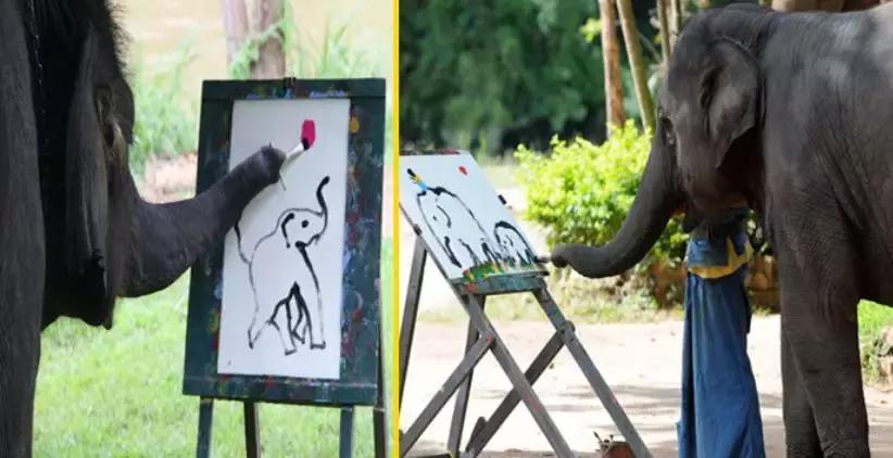 小飞象真实事件,小飞象的真实故事