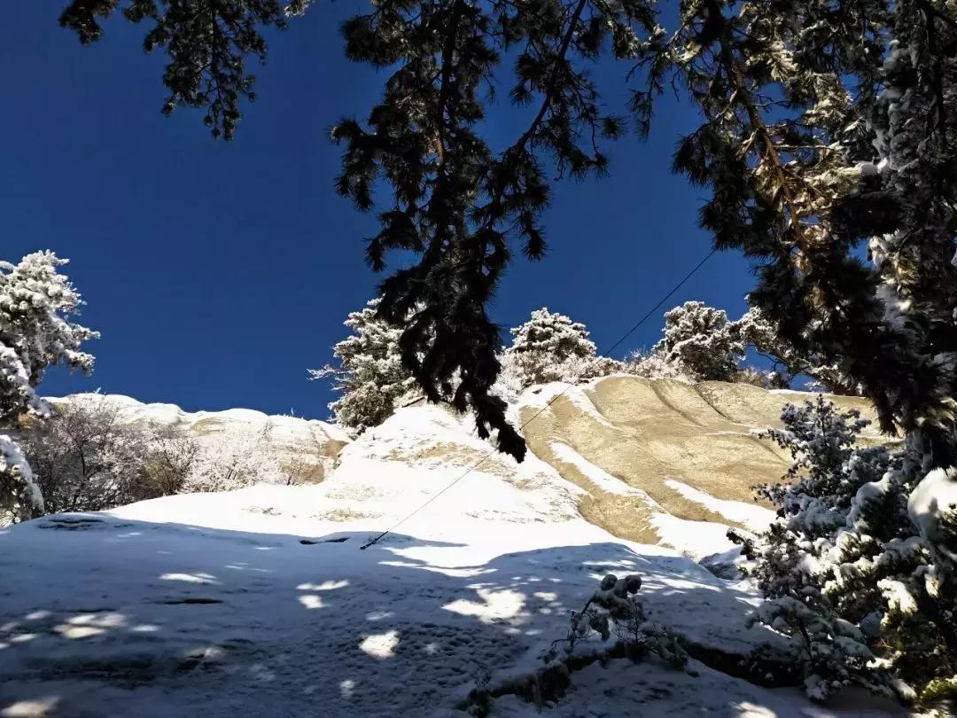 华山游记精选,华山游记风雪夜