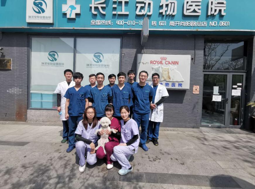 瑞派宠物医院告诉你最牛医院的正确打开方式