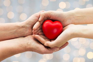 如何得到呵护,如何做到照顾他人