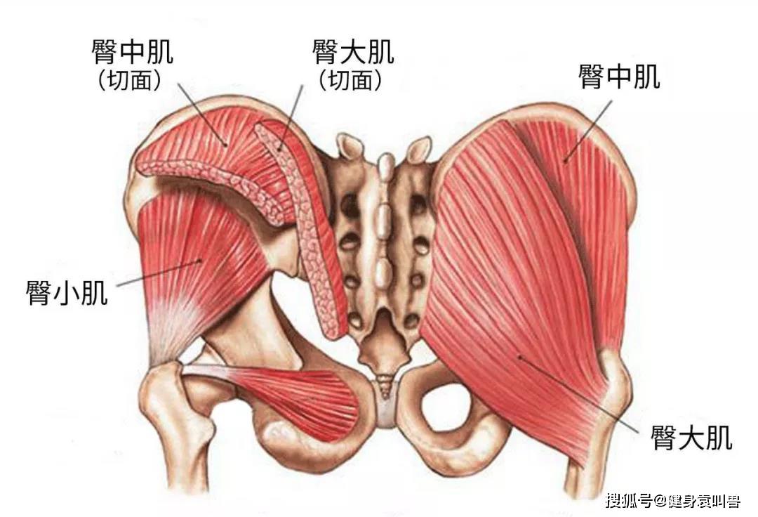 椎间盘突出腰腿疼消失,椎间盘突出腰腿痛能根治吗