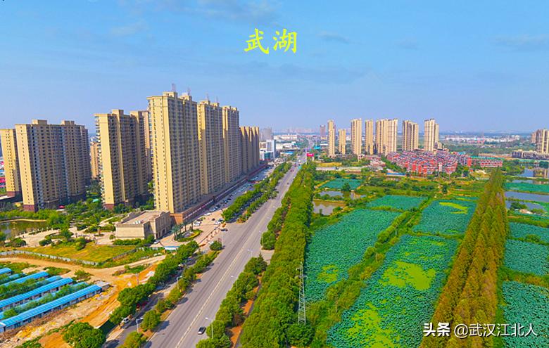 武汉阳逻区发展前景,黄陂和新洲谁更有发展前途
