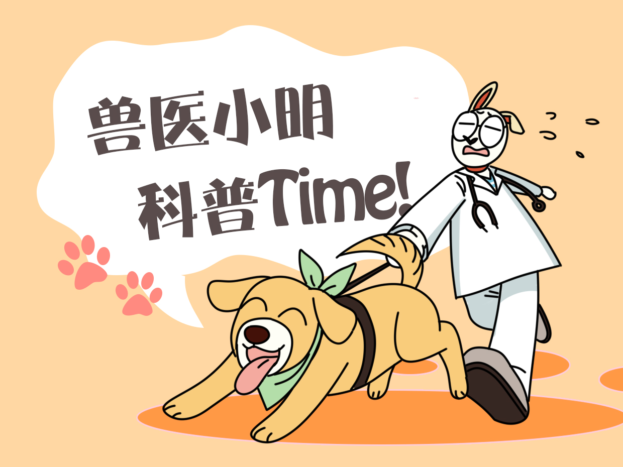 女子买了一只猫咪，和3只狗狗放在一起养，竟发现它逐渐狗化了