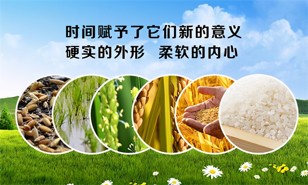 开一家粮油店是否可行吗？怎么开，如何开