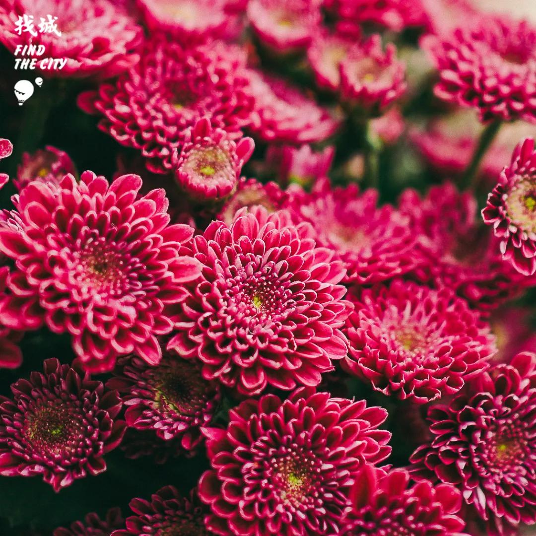 南宁最好的批发市场,南宁最便宜的家具批发市场在哪里