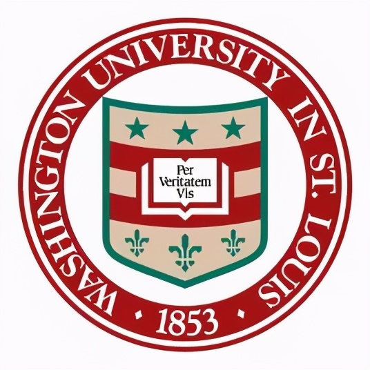 新常春藤大学,新常春藤