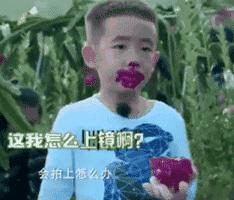 紫米洗了变白色正常吗,紫米洗后米变白色是染色的吗