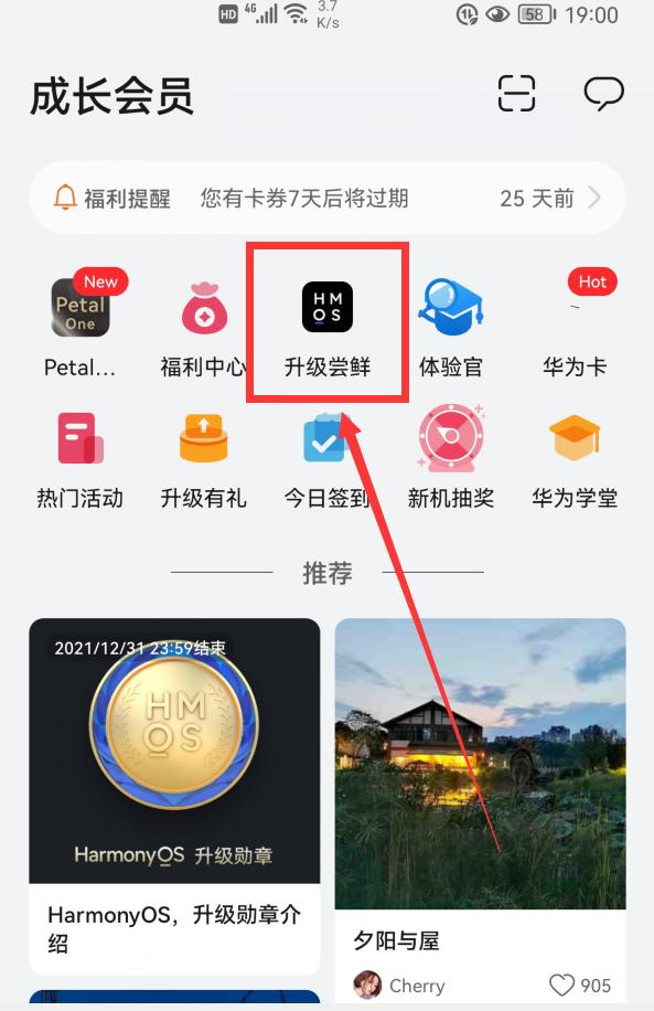 怎么把华为手机升级到鸿蒙系统,华为p10plusemui5.1怎么升级鸿蒙