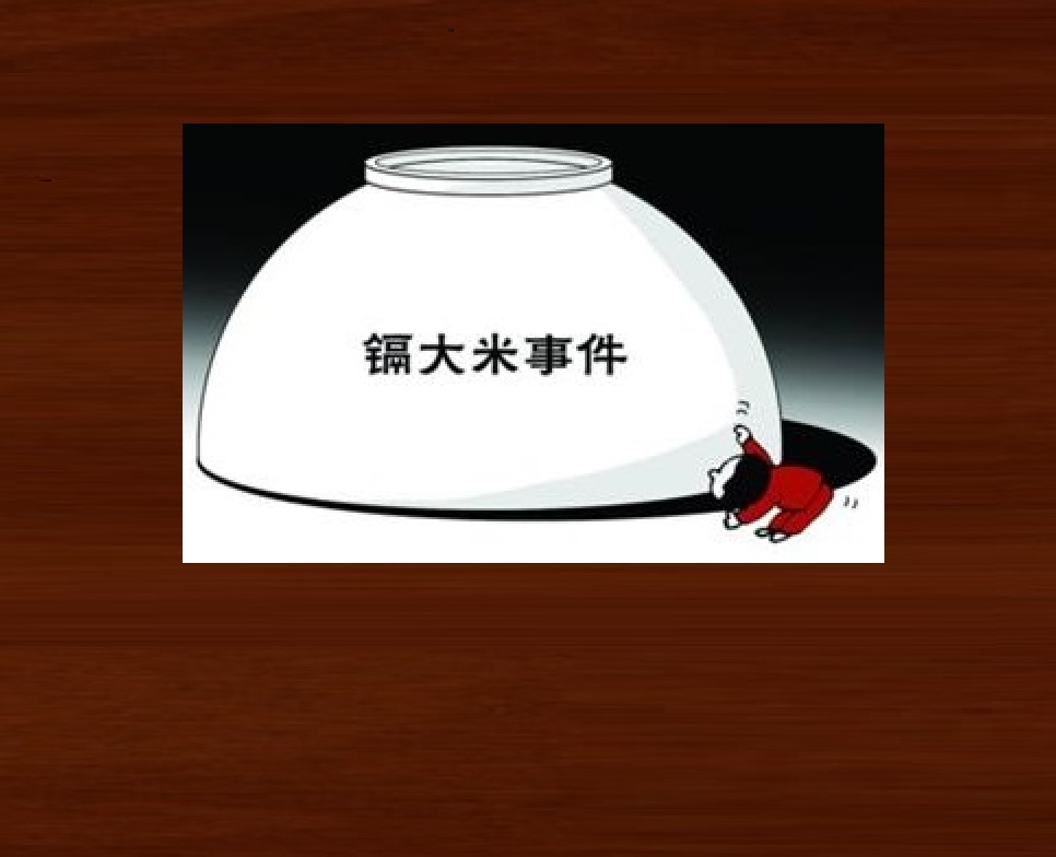 舌尖上的安全感悟,舌尖上的安全全册