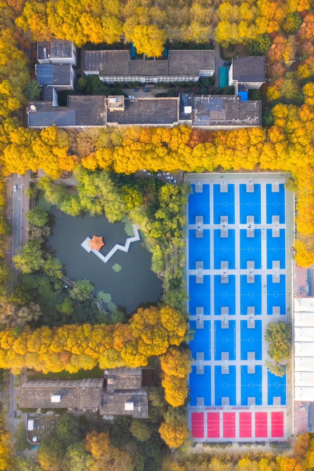武汉的名字来自哪里,武汉的名字的历史