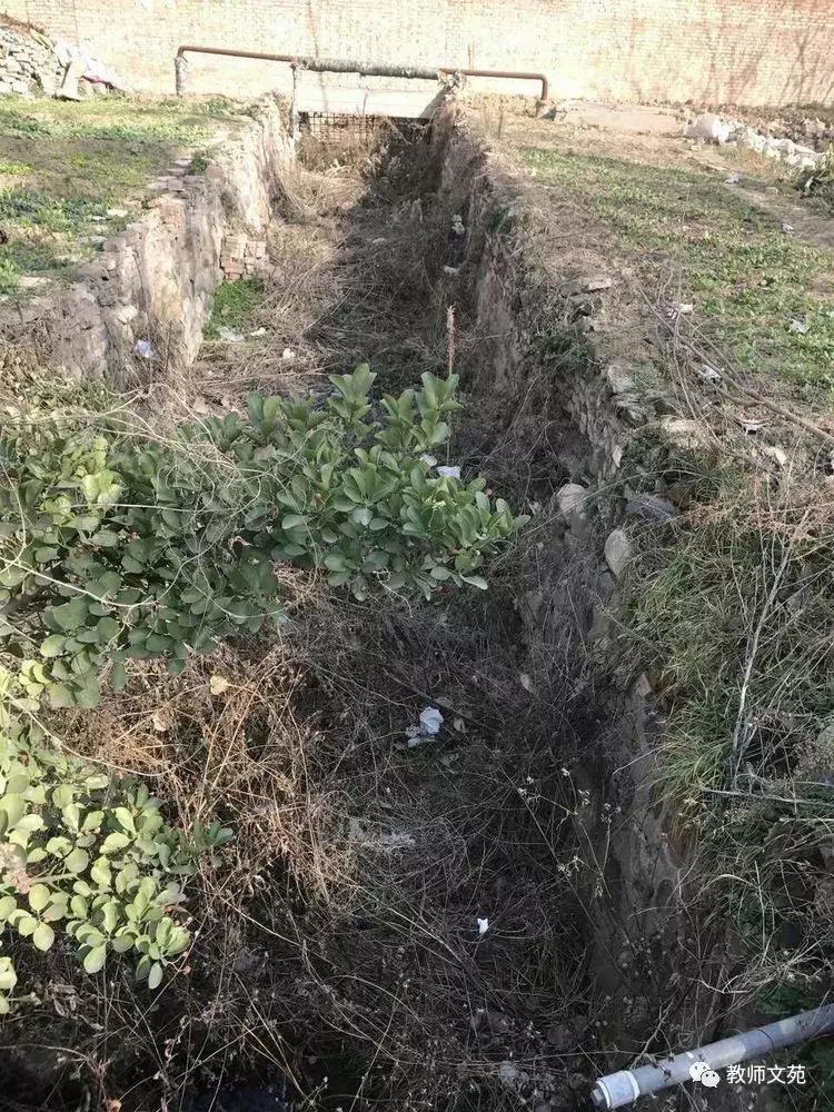 豫西师范前世今生,豫西师范回忆