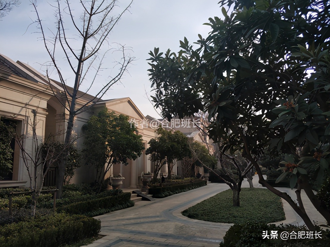 可以传世的房子格局,合肥汤臣一品海景房