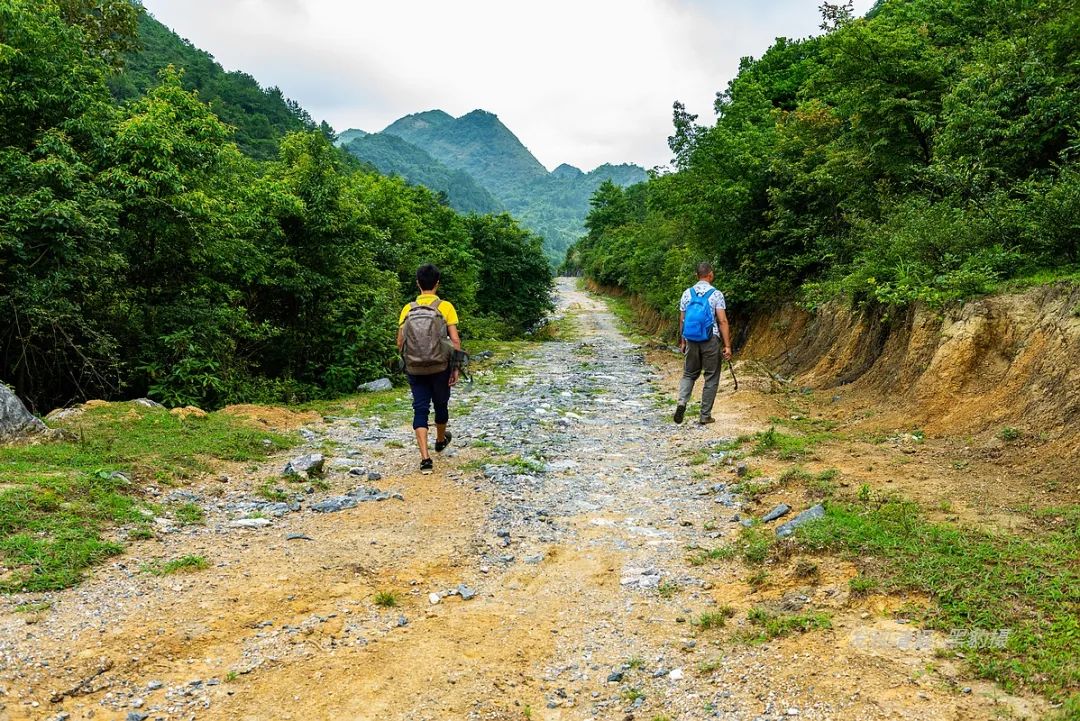 徒步穿越秦岭无人区,徒步穿越喀斯特森林