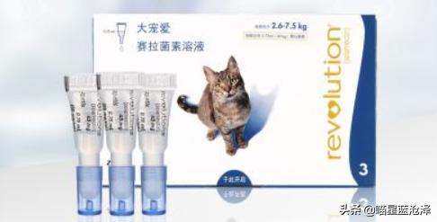 幼猫养护知识大全,幼猫驱虫的注意事项