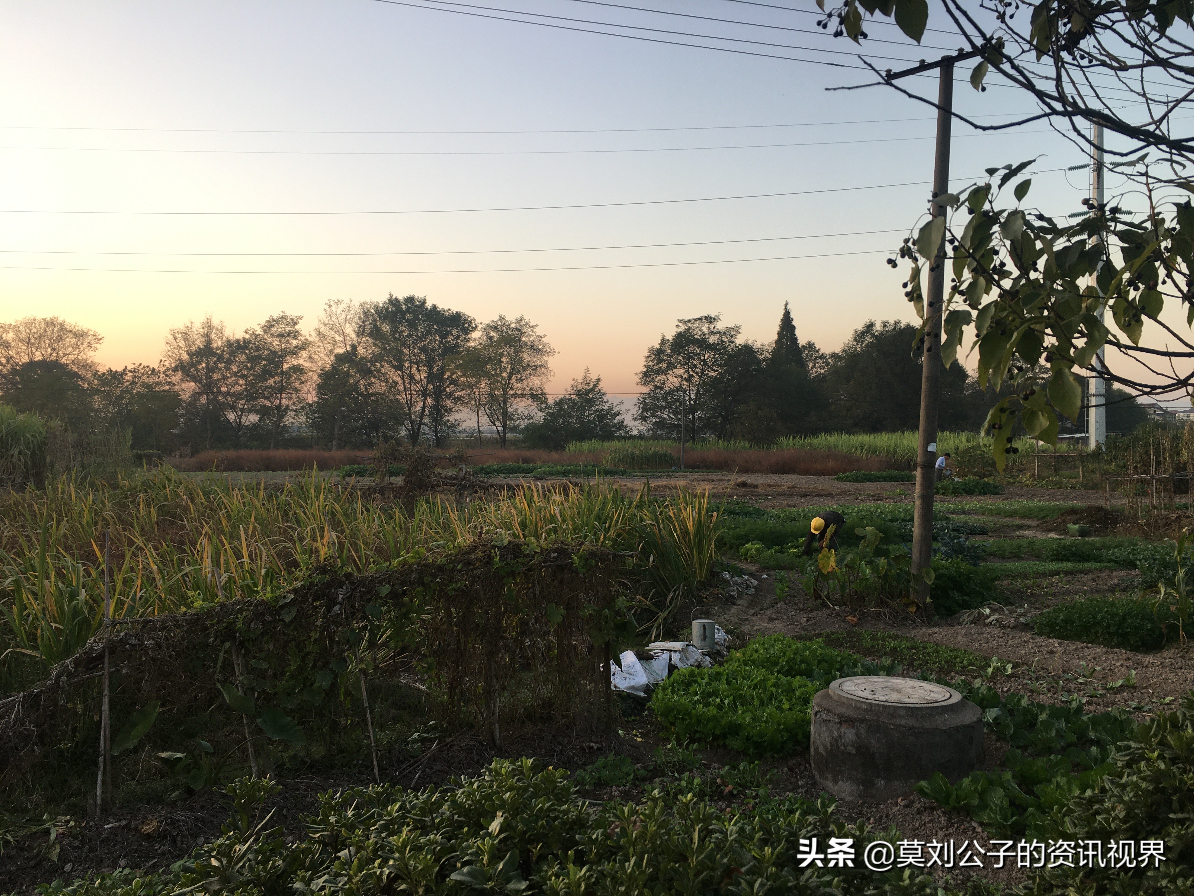 中国经济强市浙江义乌，其实它是一座山城，或许你根本不了解它