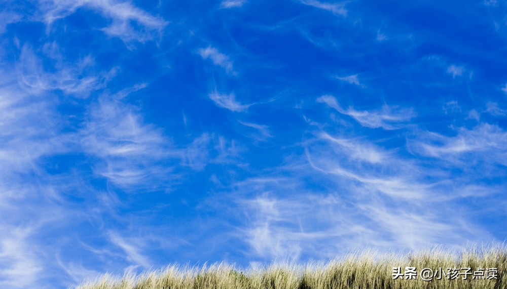 少年有关的古诗朗诵,古诗词里面写少年的优美诗句