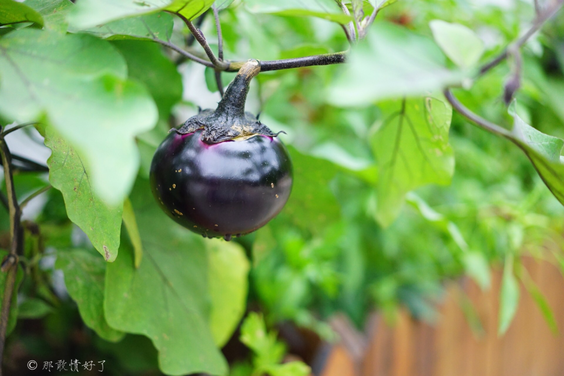北京昌平带私人烧烤的民宿,昌平京郊民宿