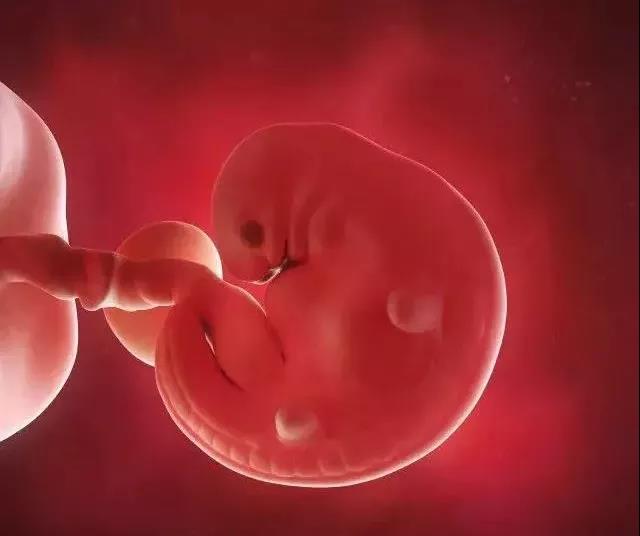 孕早期b超会出错么,孕早期b超显示先兆流产