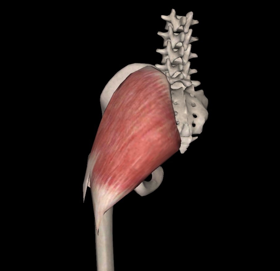 腰疼一走路就腰直不起来,腰痛可以弯腰但直不起来