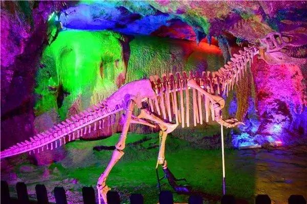 38女神节广州有哪些免费景点,38妇女节广州免票景点