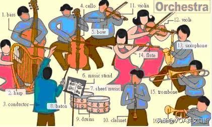 30张场景单词图，教你记住高频生活词（建议收藏）（下）