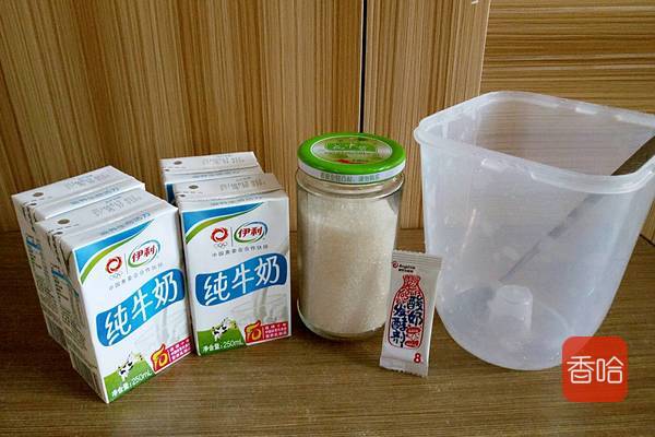 教你自制酸奶，最简单的方式，浓稠又好喝，家人抢着喝
