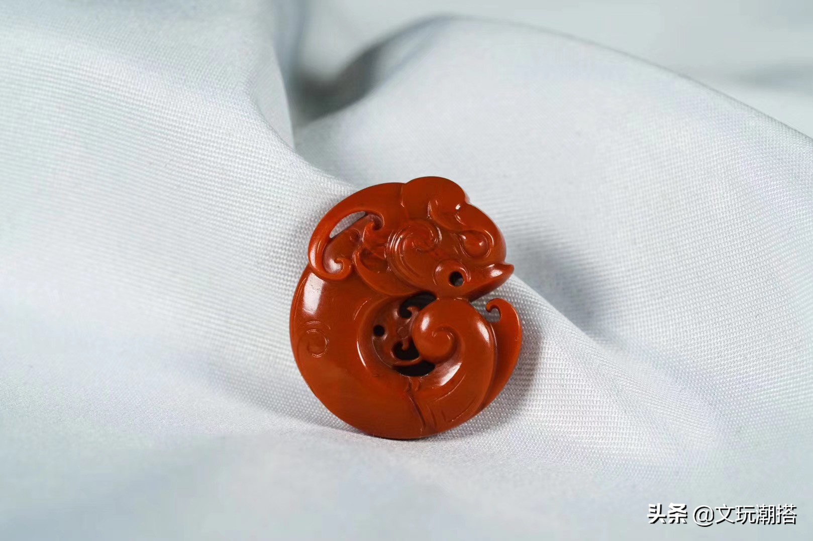 同样是猪同样好吃懒做,同样是猪为什么你这么好看