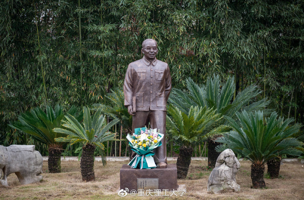 重庆大学城哪个大学风景好,重庆大学哪个区最好玩
