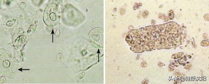 把健康带回家完整视频,把健康带回家dj完整版