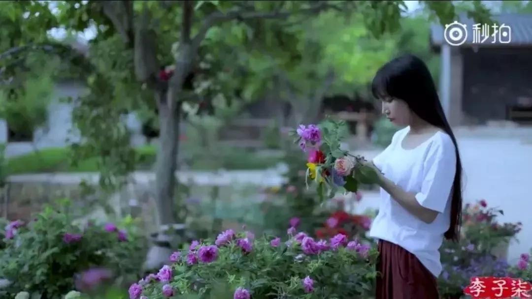 看完李子柒的视频有什么感觉,看李子柒的感想