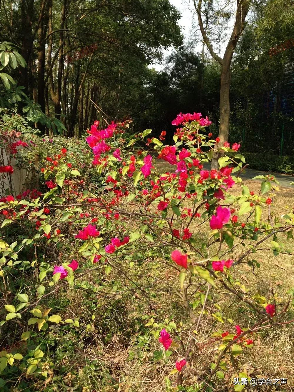 一位高僧说人走霉运前有三大征兆,走霉运时怎么转运秘法