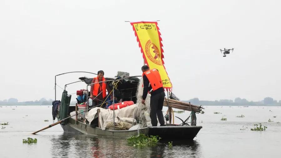 大纵湖大闸蟹价格表,大纵湖大闸蟹今日价格