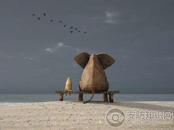 澶ц瘽濞佽,澶ц瘽瀹変繚