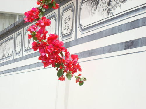 《游园不值》：除了一枝红杏见*光春**的妙意，还蕴含着深层的哲理