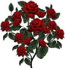 520祝福语表达爱意句句温馨美好,520祝福语送给最在乎的人