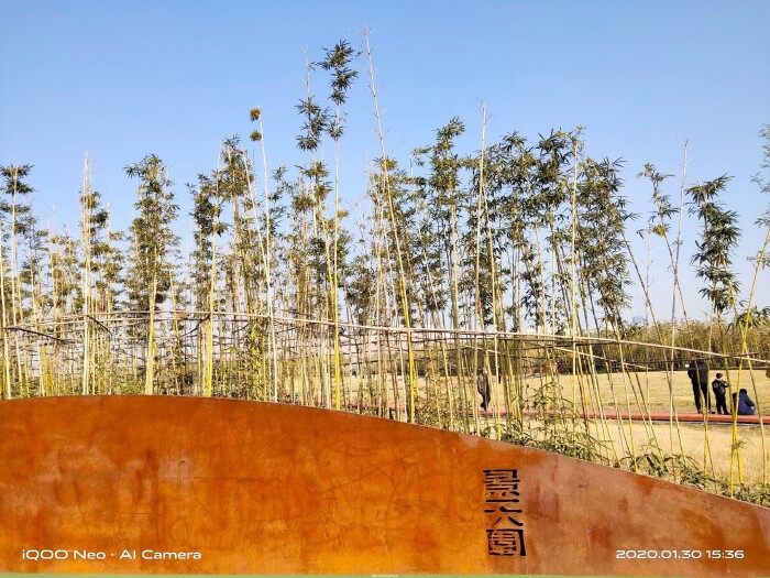 iqooneo855打王者有哪些功能,iqooneo855和竞速版的区别在哪