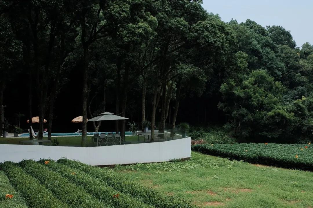 杭州西湖人少景美的地方,杭州人少景美免费景点