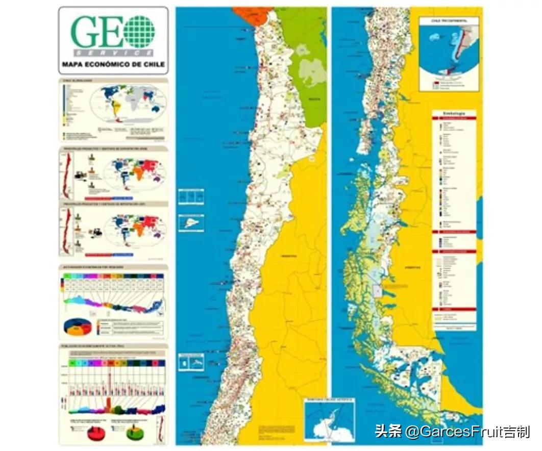 智利车厘子10大品牌,智利车厘子介绍视频