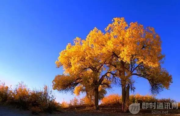 4年前端学习,4年程序员总结