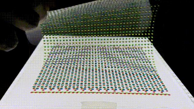 电鳗的电可以发电吗,电鳗为什么能够发电