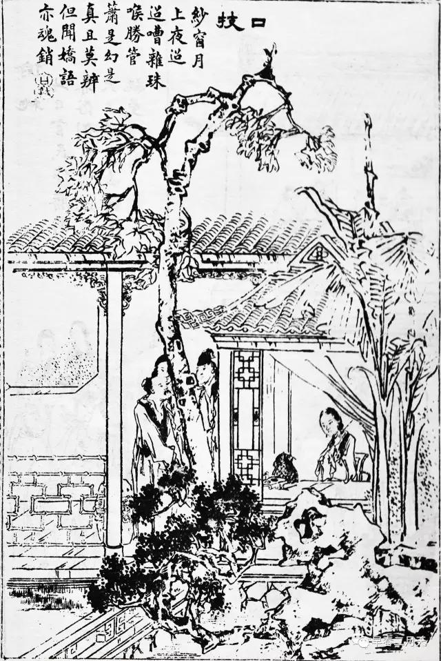 赵玉霞聊斋,聊斋故事赵玉霞